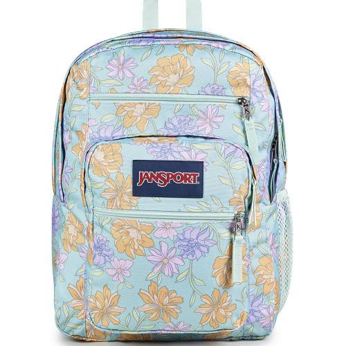 Big Student