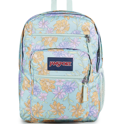 Big Student