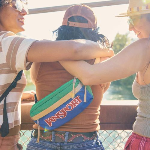 Washington Waistpack